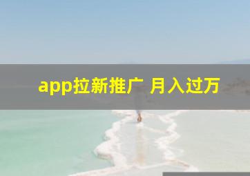 app拉新推广 月入过万